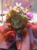 ak5lovemelody37-img240x320-1176618713ak240.jpg