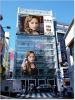 Filename=billboard01_02.jpg
Filesize=104KB
Dimensions=520x690
Date added=Oct 08, 2006 billboard01_02.jpg